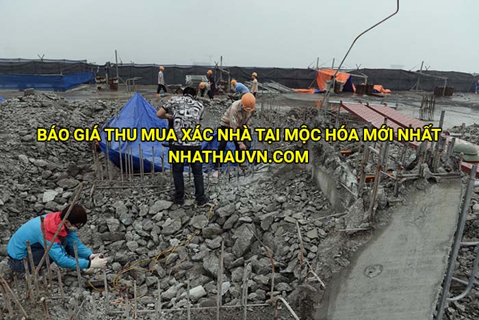 Báo giá thu mua xác nhà tại Mộc Hóa mới nhất