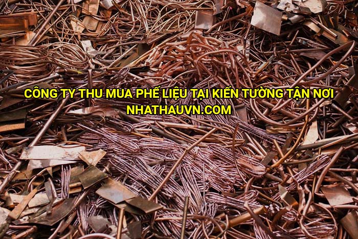 Công ty thu mua phế liệu tại Kiến Tường tận nơi