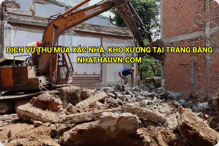 Dịch vụ thu mua xác nhà, kho xưởng tại Trảng Bàng