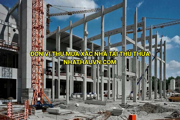 Đơn vị thu mua xác nhà tại Thủ Thừa