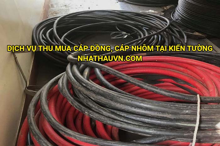 Dịch vụ thu mua cáp đồng, cáp nhôm tại Kiến Tường