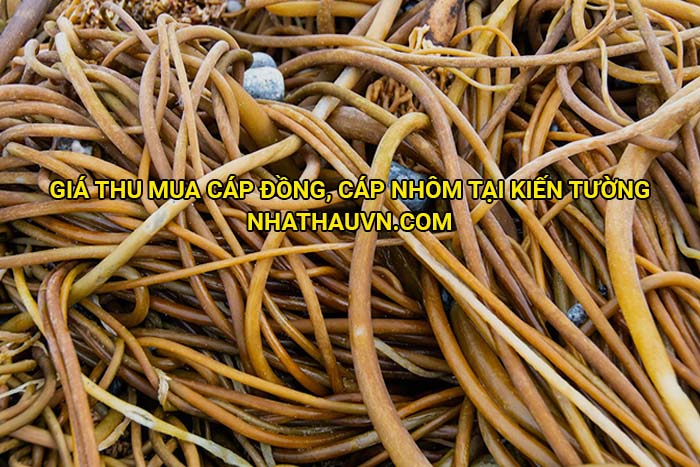 Giá thu mua cáp đồng, cáp nhôm tại Kiến Tường